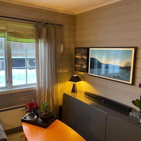 Koselig Leilighet , Med Parkering Og Ski In &Out. Apartamento Oppdal Exterior foto