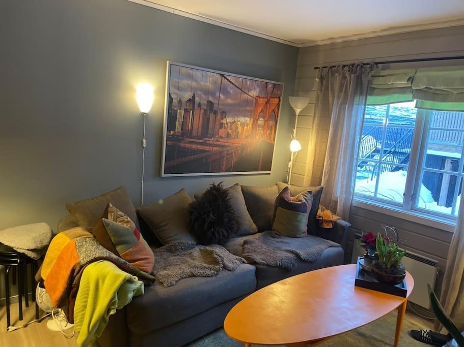 Koselig Leilighet , Med Parkering Og Ski In &Out. Apartamento Oppdal Exterior foto