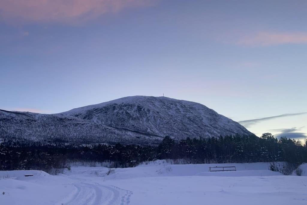 Koselig Leilighet , Med Parkering Og Ski In &Out. Apartamento Oppdal Exterior foto